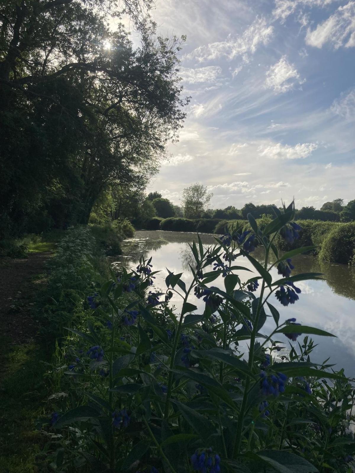 Dutch Cruiser Ship On A Tranquil Secluded River Tonbridge Exteriér fotografie