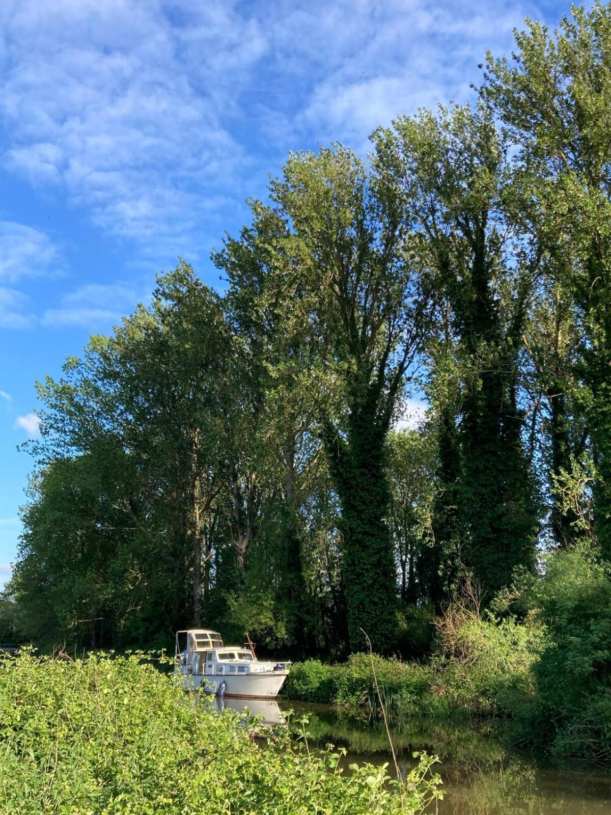 Dutch Cruiser Ship On A Tranquil Secluded River Tonbridge Exteriér fotografie